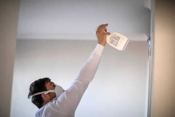 Best Residential Mold Removal  in Cedville, AR