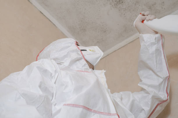 Best Mold Testing  in Cedville, AR