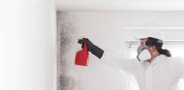 Best Crawl Space Mold Removal  in Cedville, AR